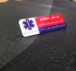 بج سینه رنگی سوزنی